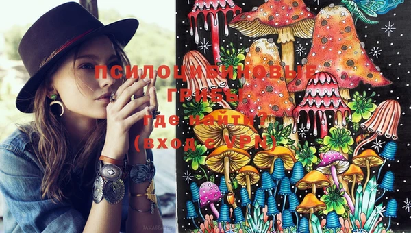 MDMA Снежногорск