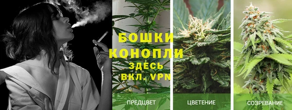 ГАЛЛЮЦИНОГЕННЫЕ ГРИБЫ Абдулино