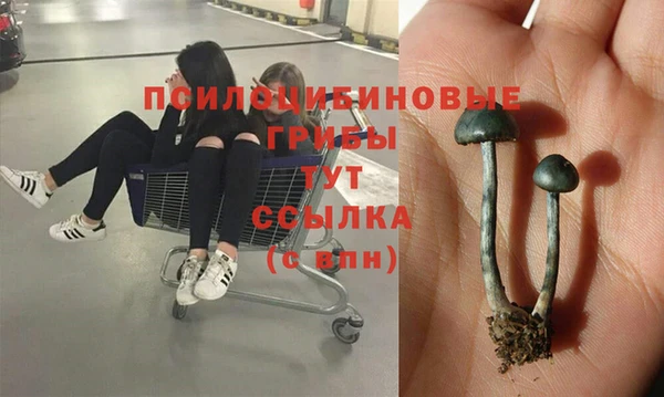не бодяженный Слюдянка