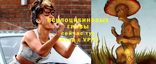 ГАЛЛЮЦИНОГЕННЫЕ ГРИБЫ Абдулино